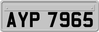 AYP7965