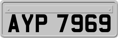 AYP7969