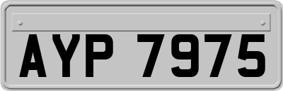 AYP7975