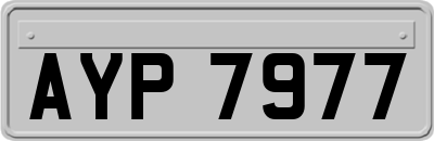 AYP7977