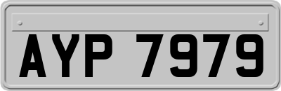 AYP7979