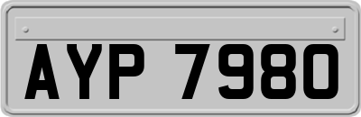 AYP7980