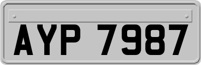 AYP7987