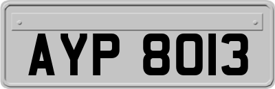 AYP8013