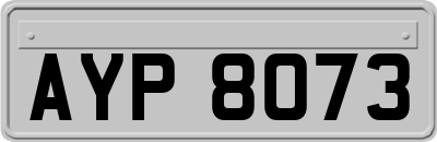 AYP8073