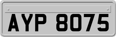 AYP8075