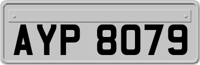 AYP8079