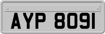 AYP8091