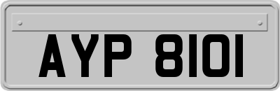 AYP8101