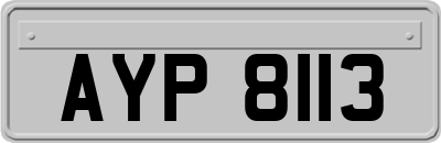 AYP8113