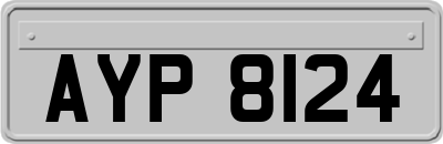 AYP8124