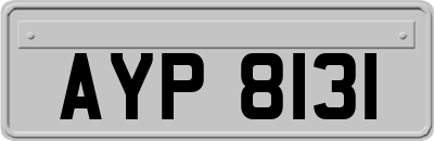 AYP8131