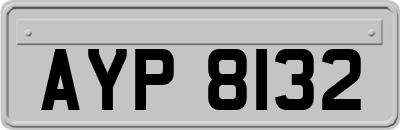 AYP8132