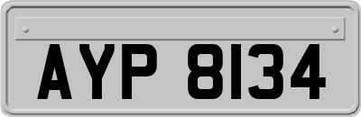 AYP8134