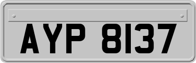AYP8137