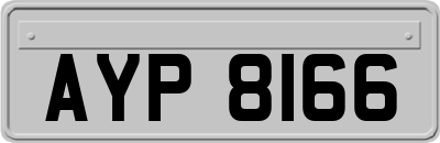 AYP8166
