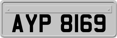 AYP8169