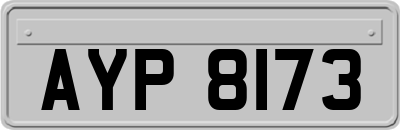 AYP8173