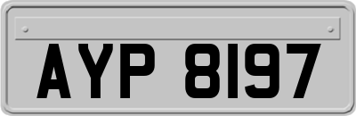AYP8197