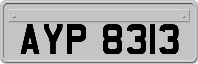 AYP8313