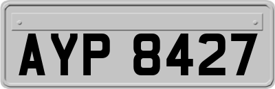 AYP8427