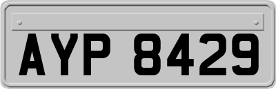 AYP8429