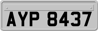AYP8437