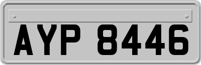 AYP8446