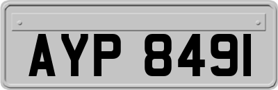 AYP8491