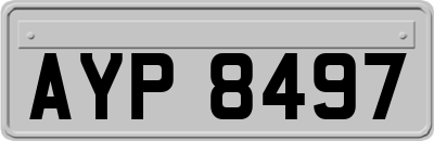 AYP8497