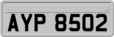 AYP8502