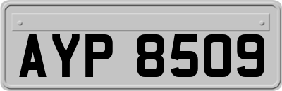AYP8509