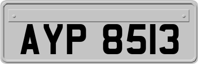 AYP8513