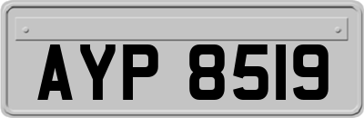 AYP8519