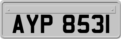 AYP8531