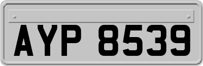 AYP8539