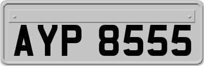 AYP8555