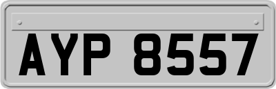AYP8557