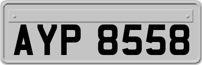 AYP8558