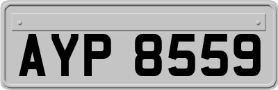AYP8559