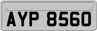 AYP8560