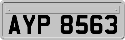 AYP8563