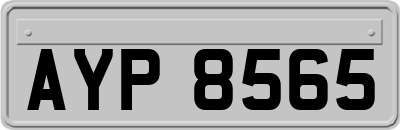 AYP8565