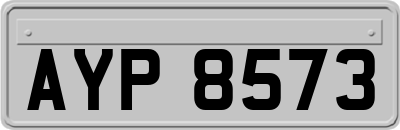 AYP8573