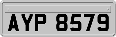 AYP8579