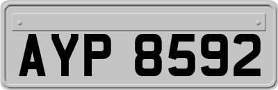 AYP8592