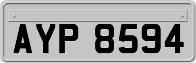 AYP8594