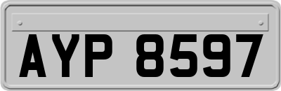 AYP8597