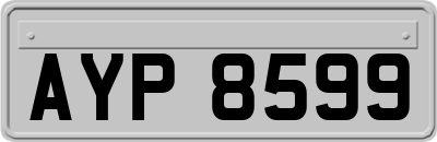 AYP8599