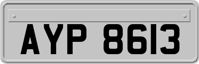 AYP8613